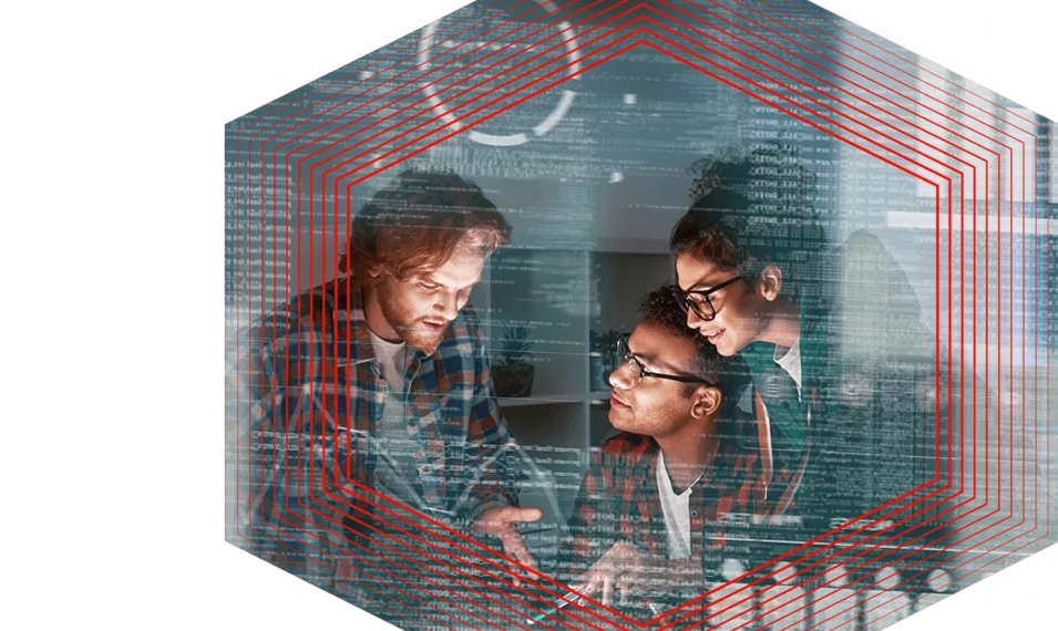 Data and Information Insights Logicalis